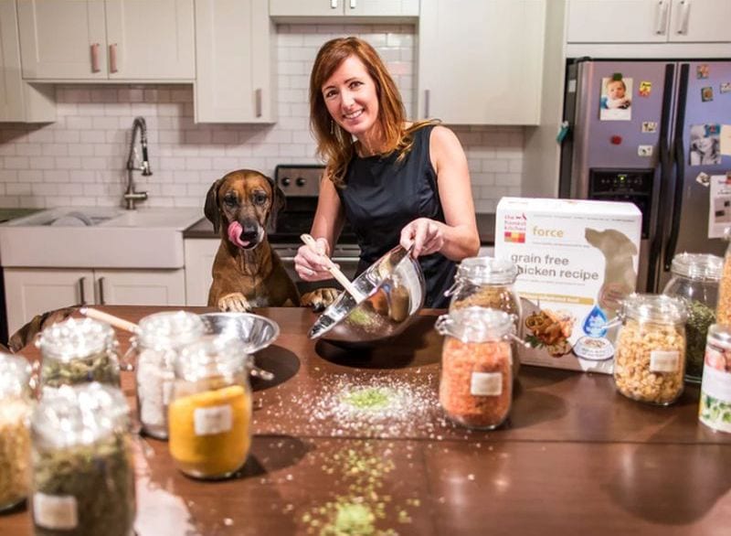 The Honest Kitchen: A K9 of Mine Hands-On Review 1 Honest Kitchen History